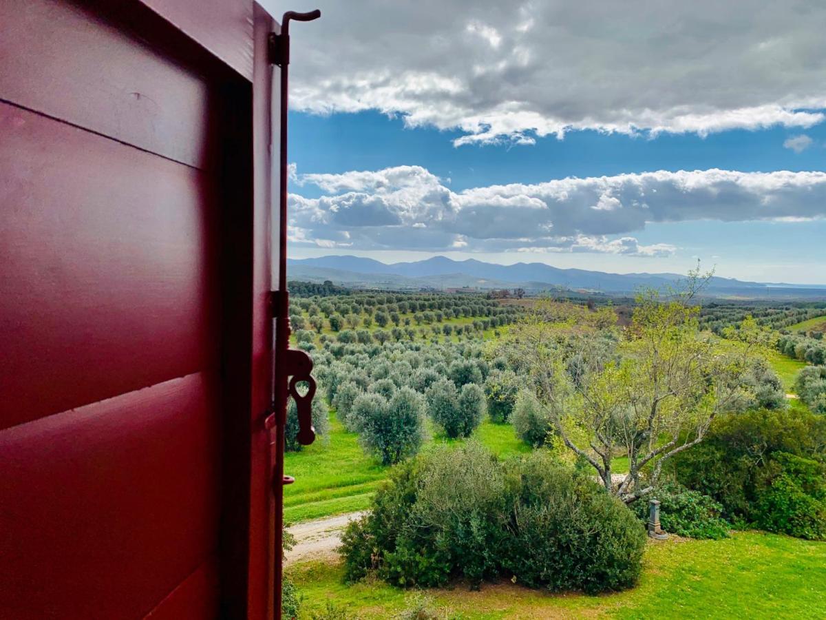 Tenuta Agricola Fraschiera Villa Massa Marittima Exterior photo