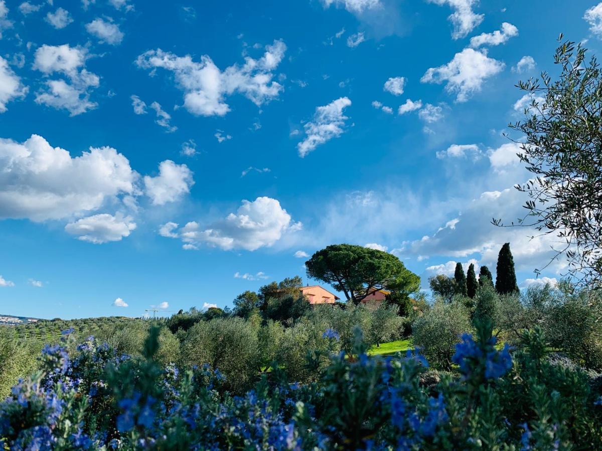 Tenuta Agricola Fraschiera Villa Massa Marittima Exterior photo