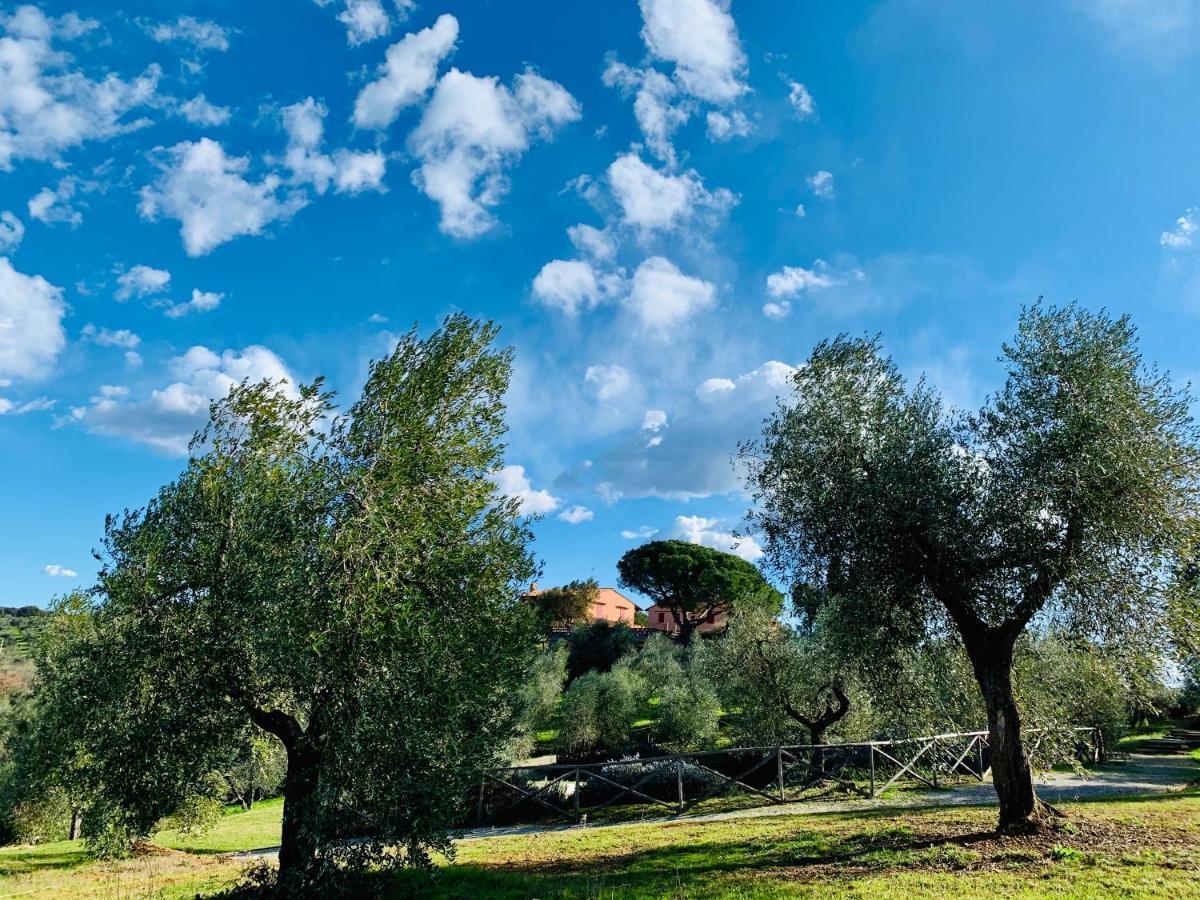 Tenuta Agricola Fraschiera Villa Massa Marittima Exterior photo
