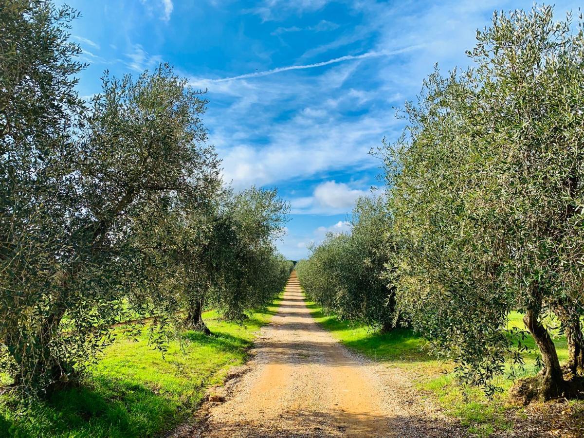 Tenuta Agricola Fraschiera Villa Massa Marittima Exterior photo